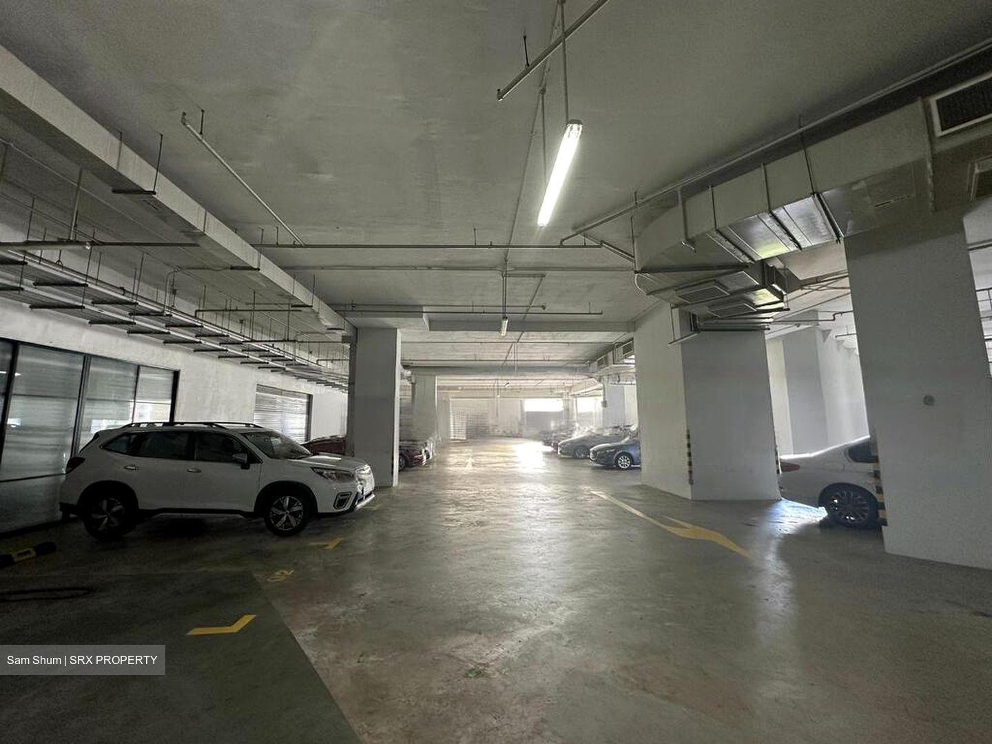 Mapex (D20), Factory #464733611